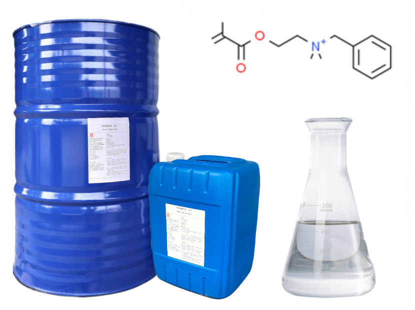 Methacryloyl oxyethyl dimethylbenzyl ammonium chloride 